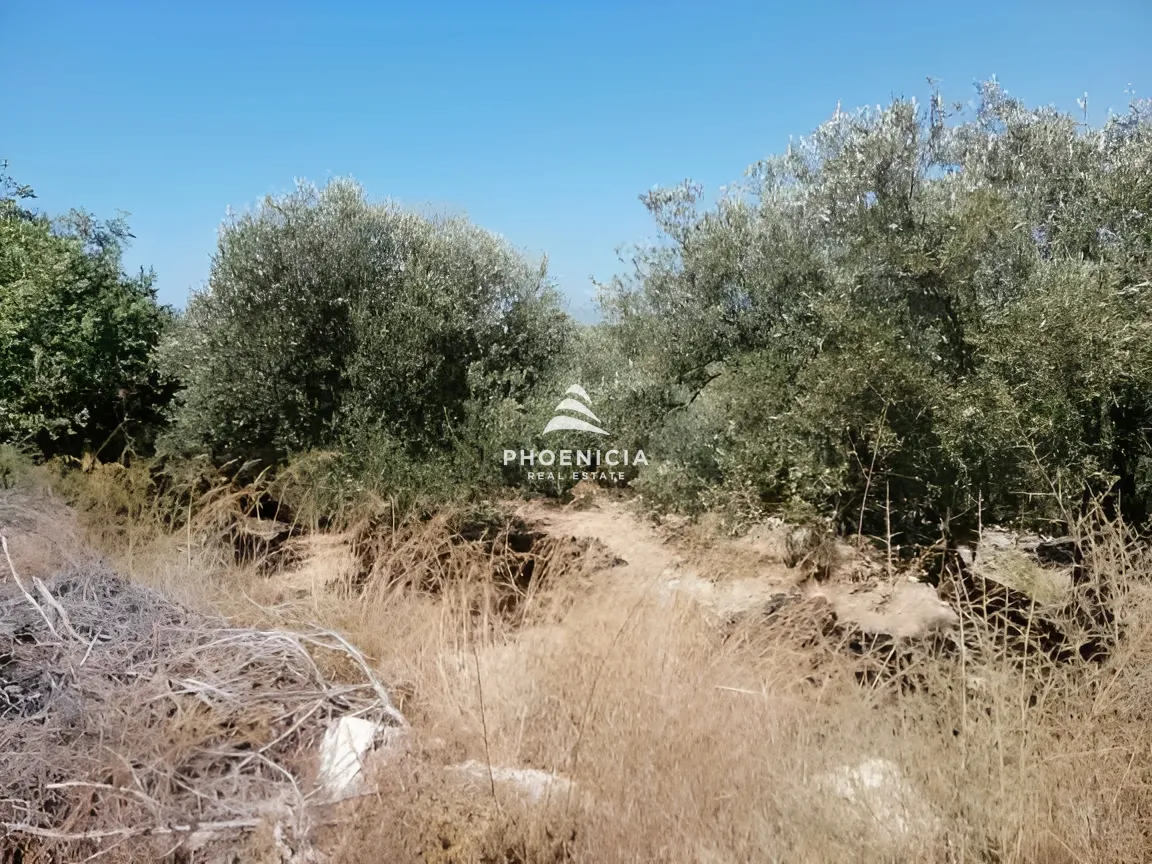 Land for Sale in Monsef
