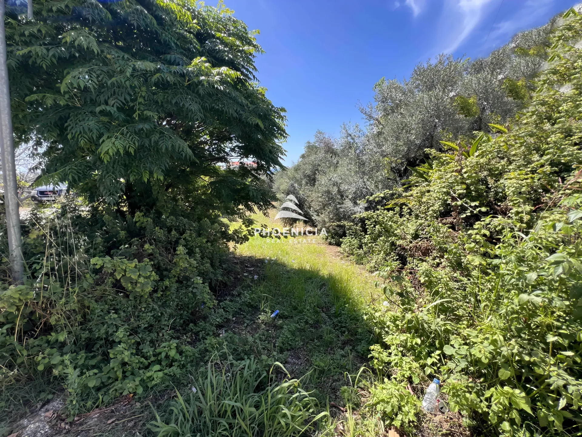 Land for Sale in Batroun
