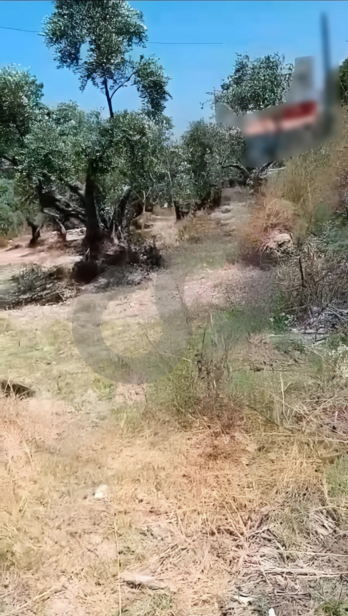 Land for Sale in Batroun