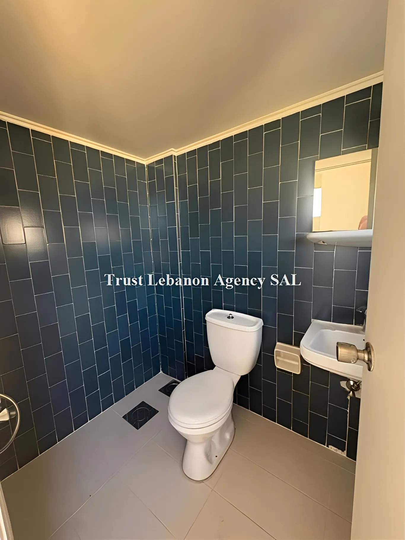 Apartment for Rent in Achrafieh Sursock