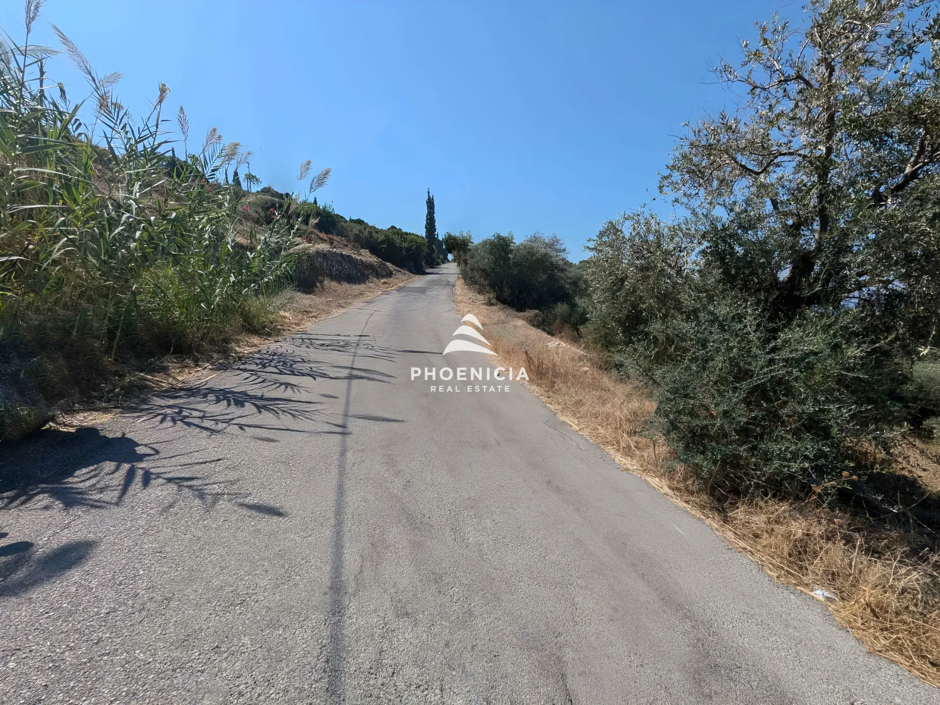 Land for Sale in Kfar Kedah, Lebanon
