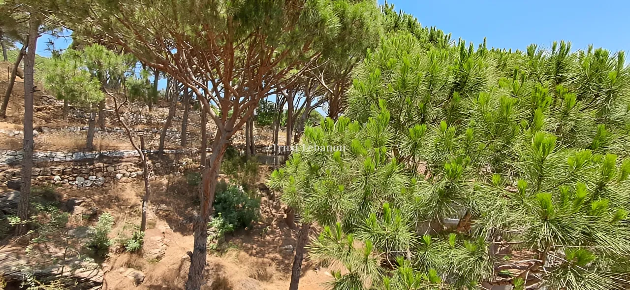 Residential Land for sale in Broummana, Lebanon