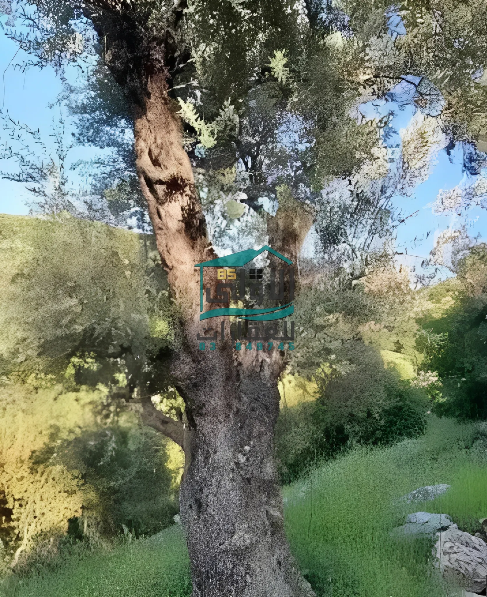 Land in الكفير، حاصبيّا، lebanon