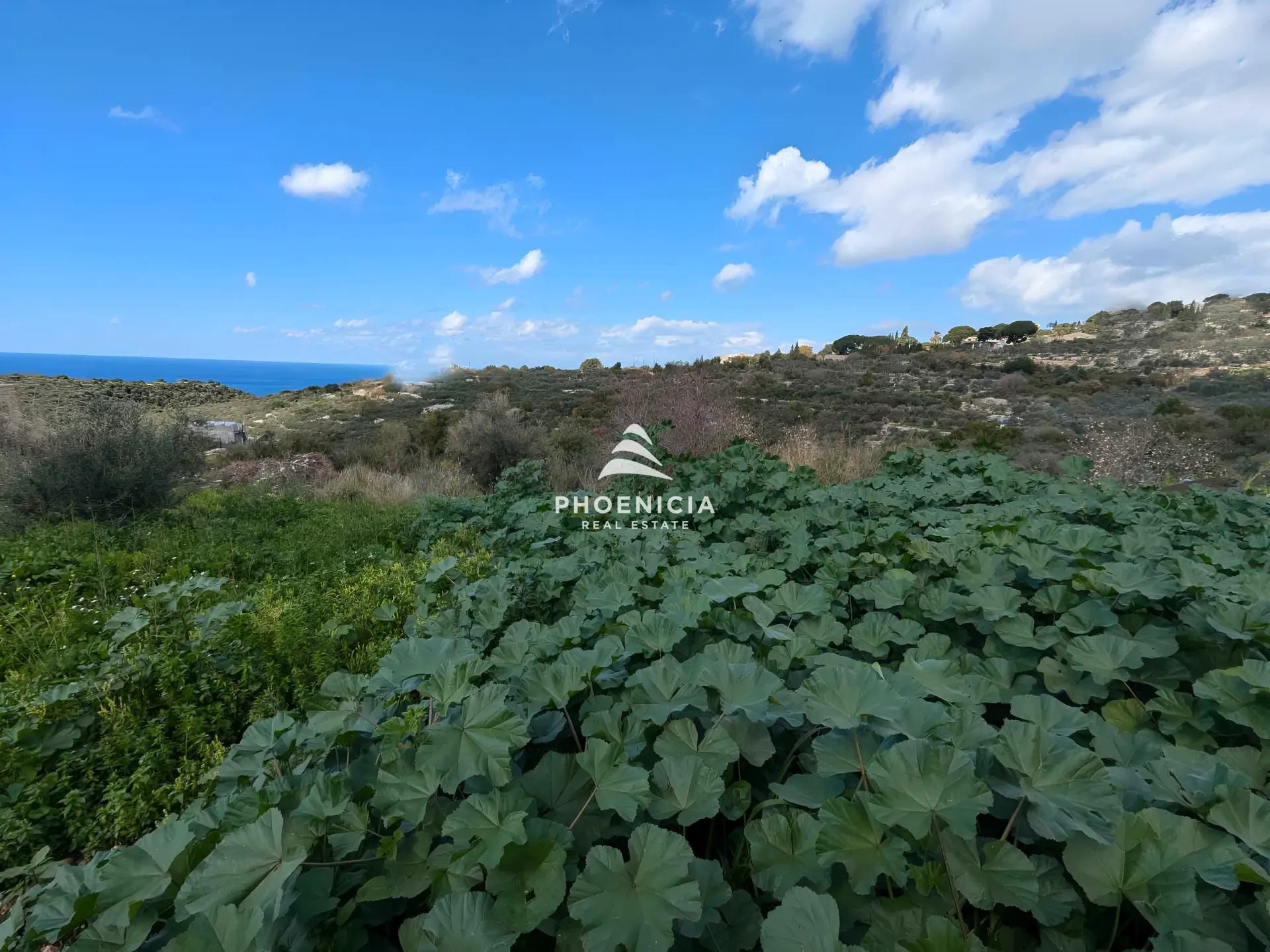 Land for Sale in Chikhane