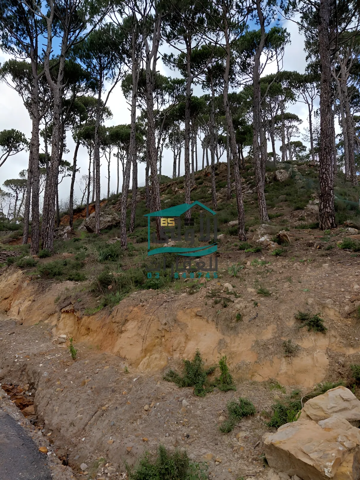 Land for sale in Bmahray, lebanon