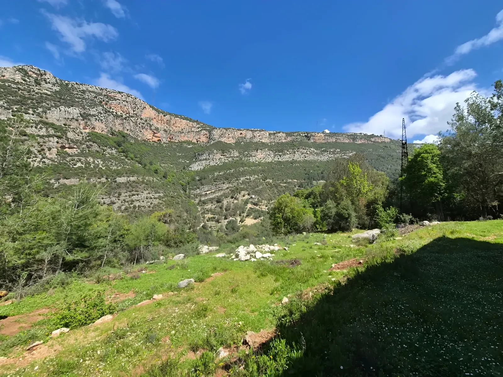 Land for Sale in Nahr Ibrahim