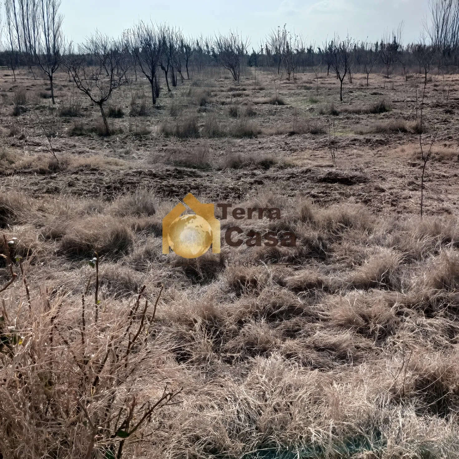 Land for Sale in Kabelias 12500 Sqm