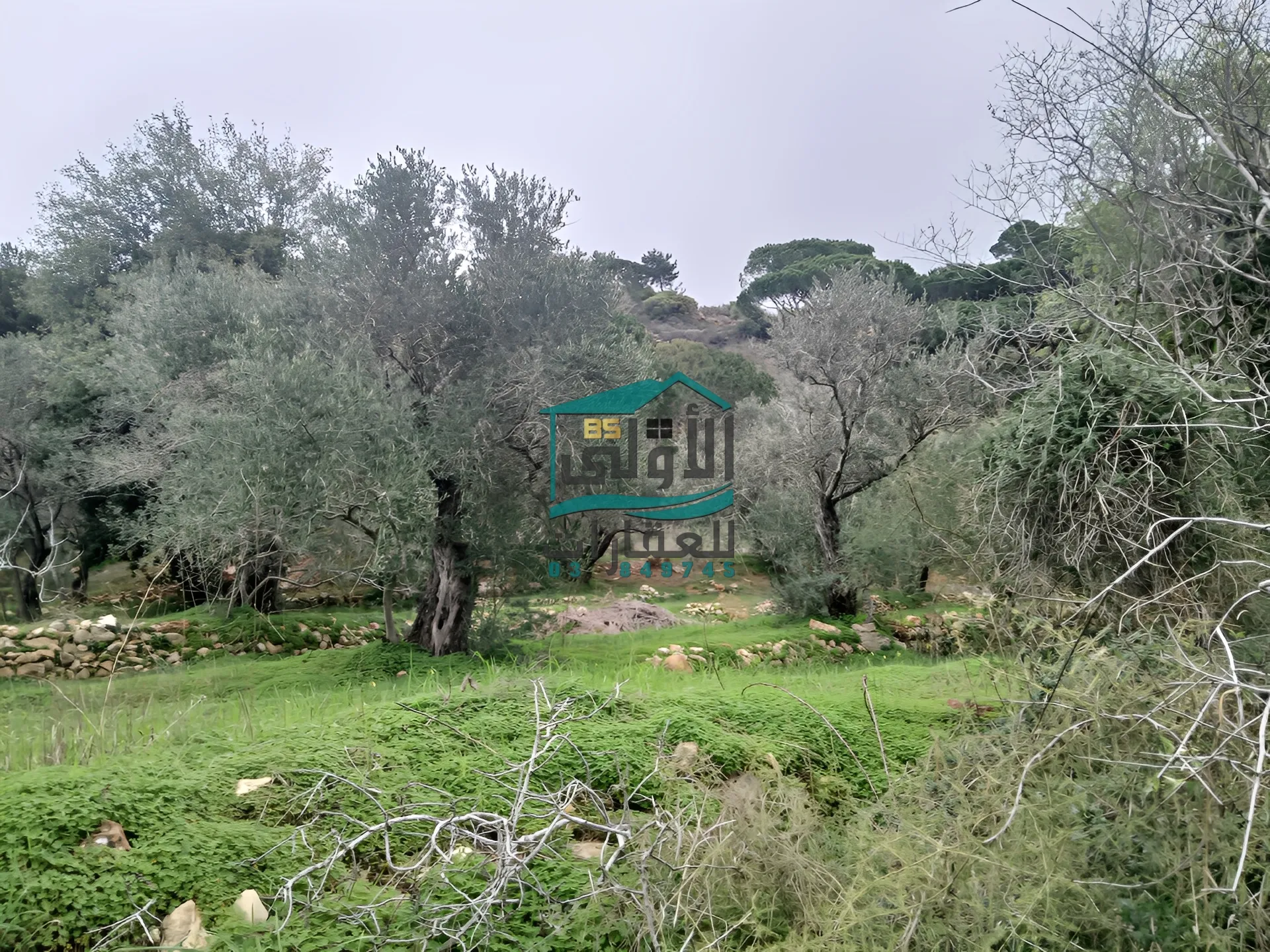 Land in Daqqoun, lebanon