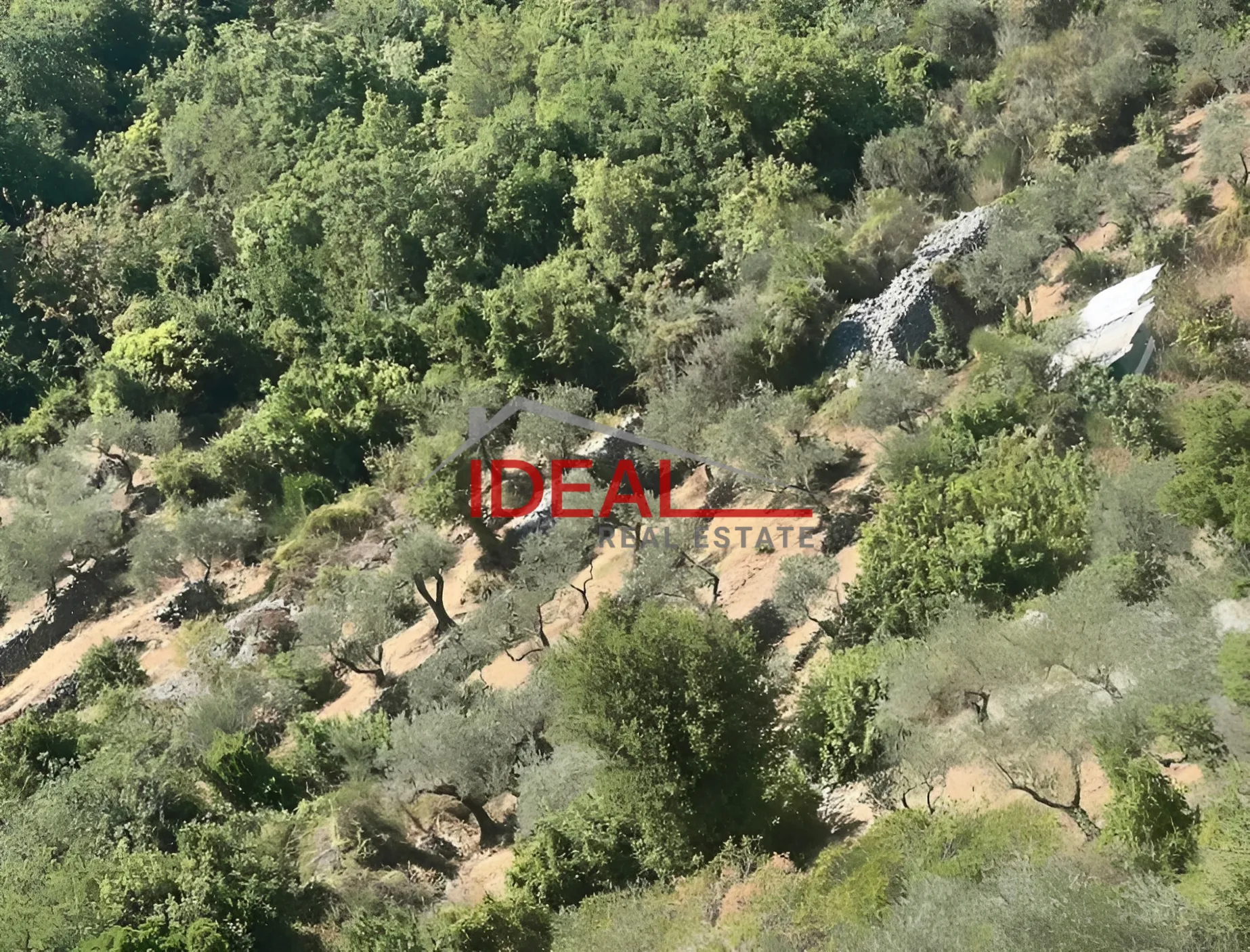Land for Sale in Deria, Lebanon