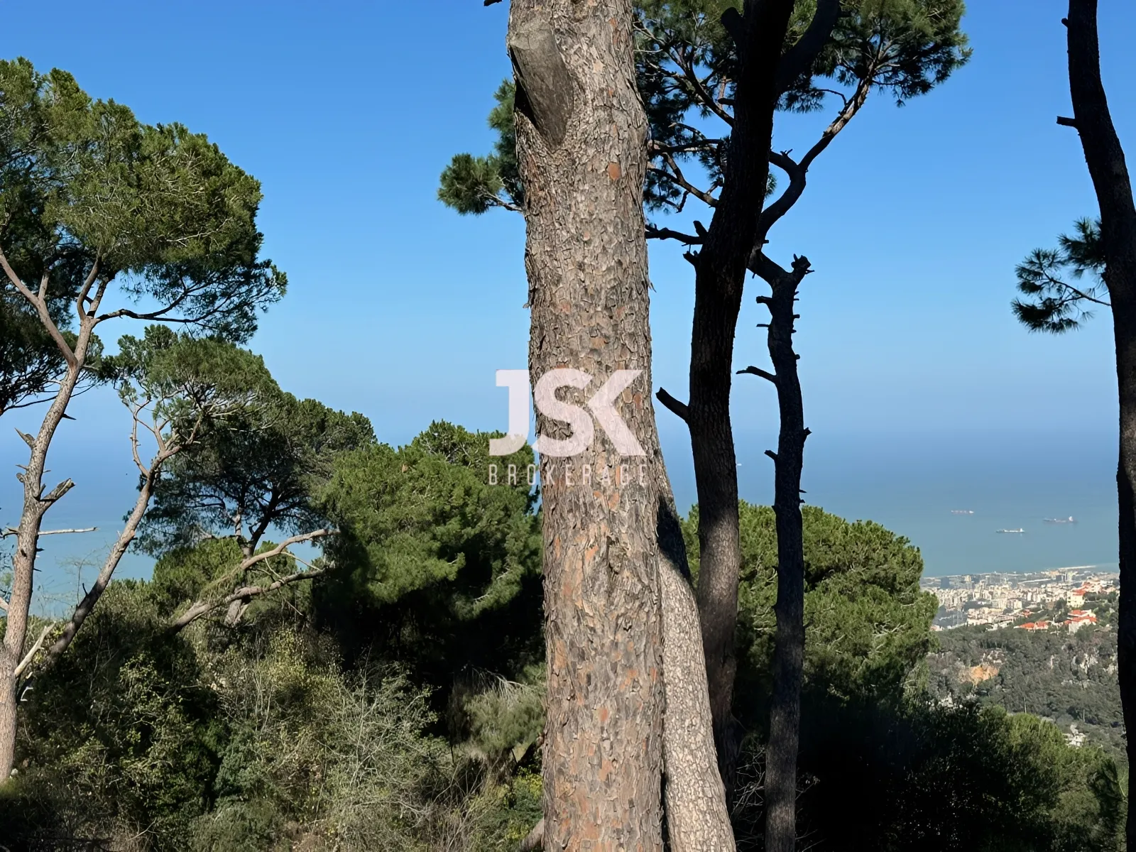 Land for Sale in Broummana