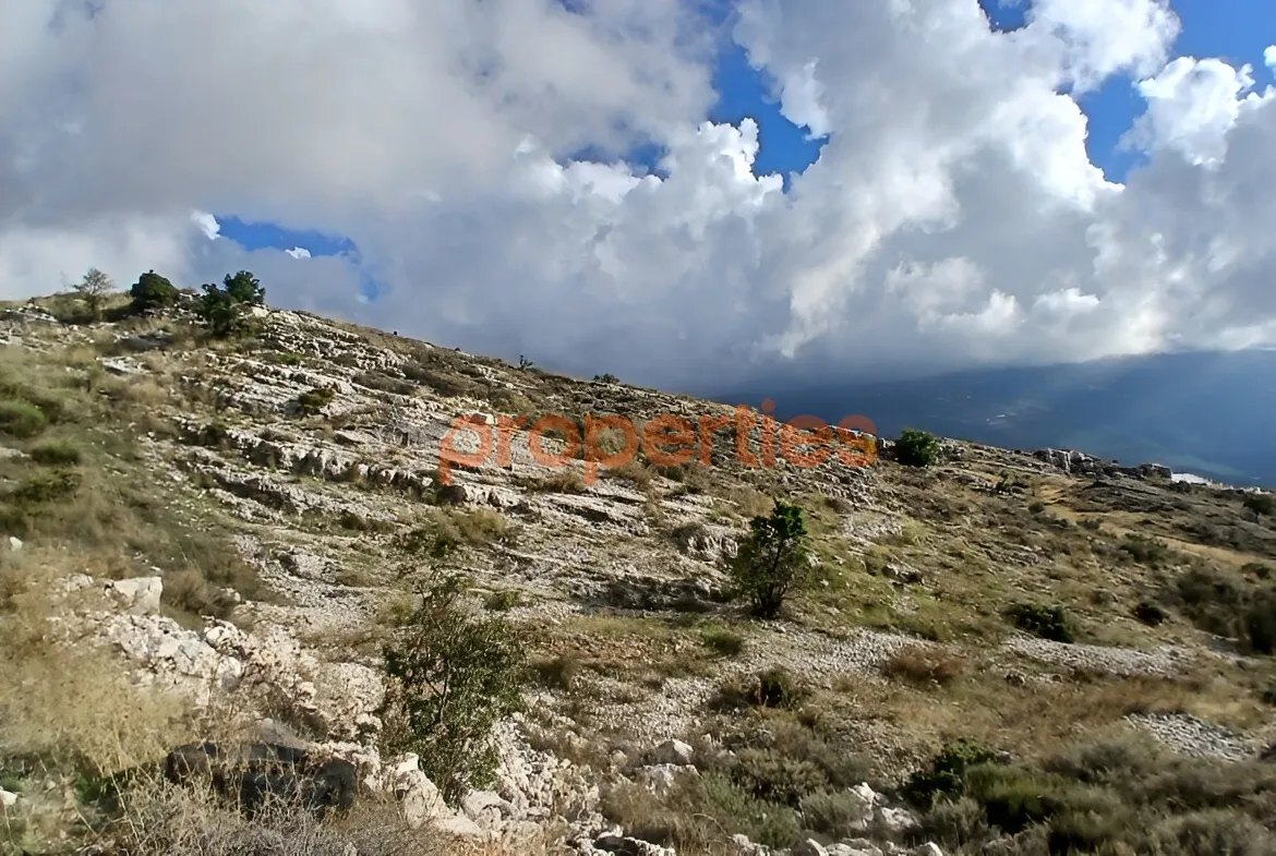 Residential Land for Sale in Mtein