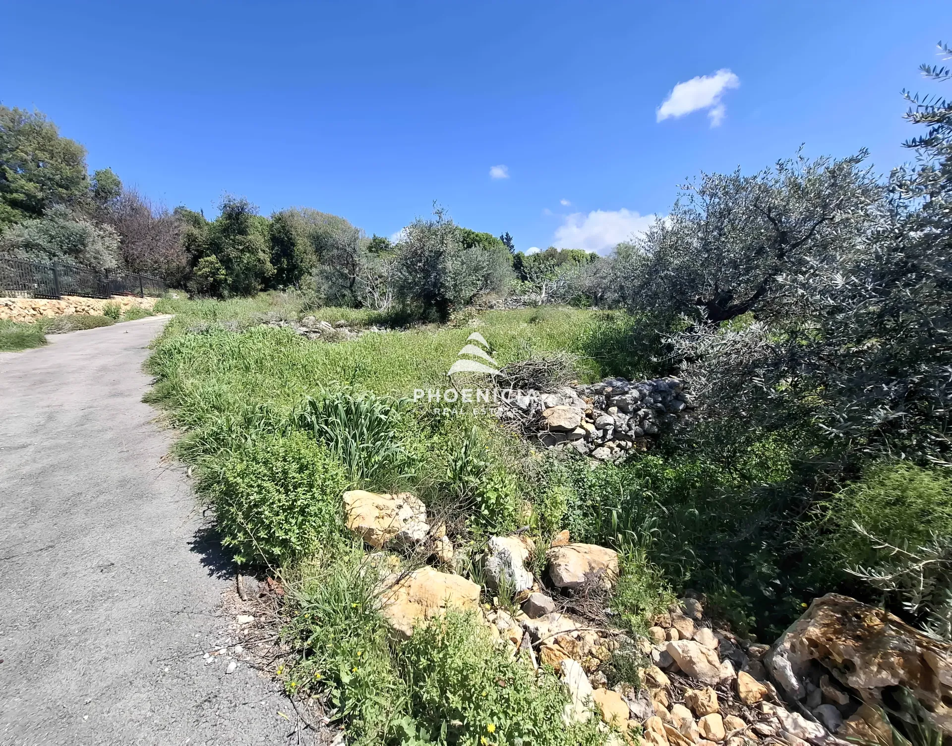 Land for Sale in Monsef