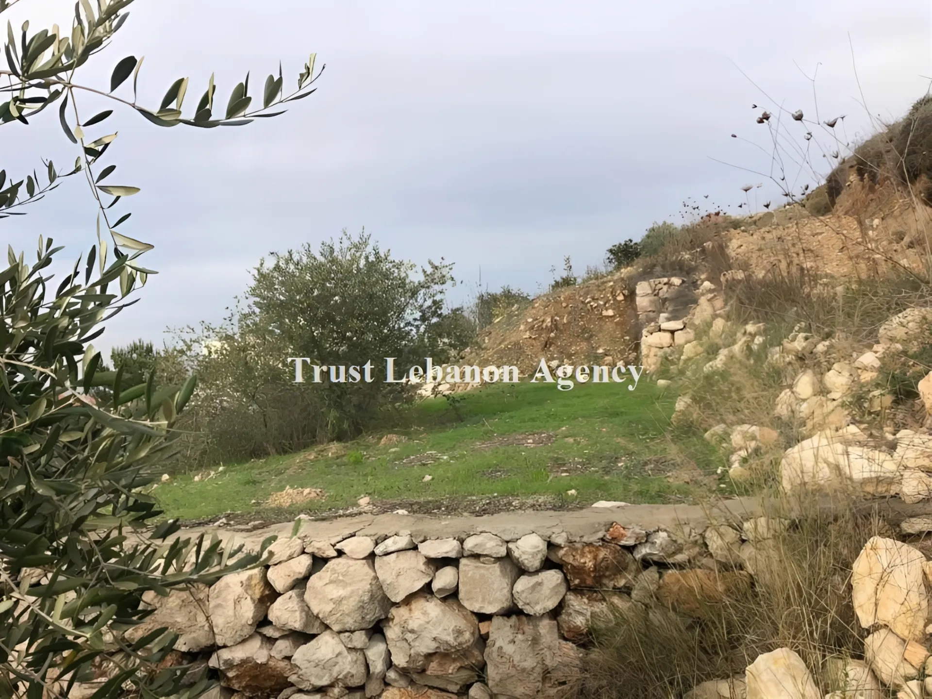 Land for Sale in Nabatiye, Ain qana