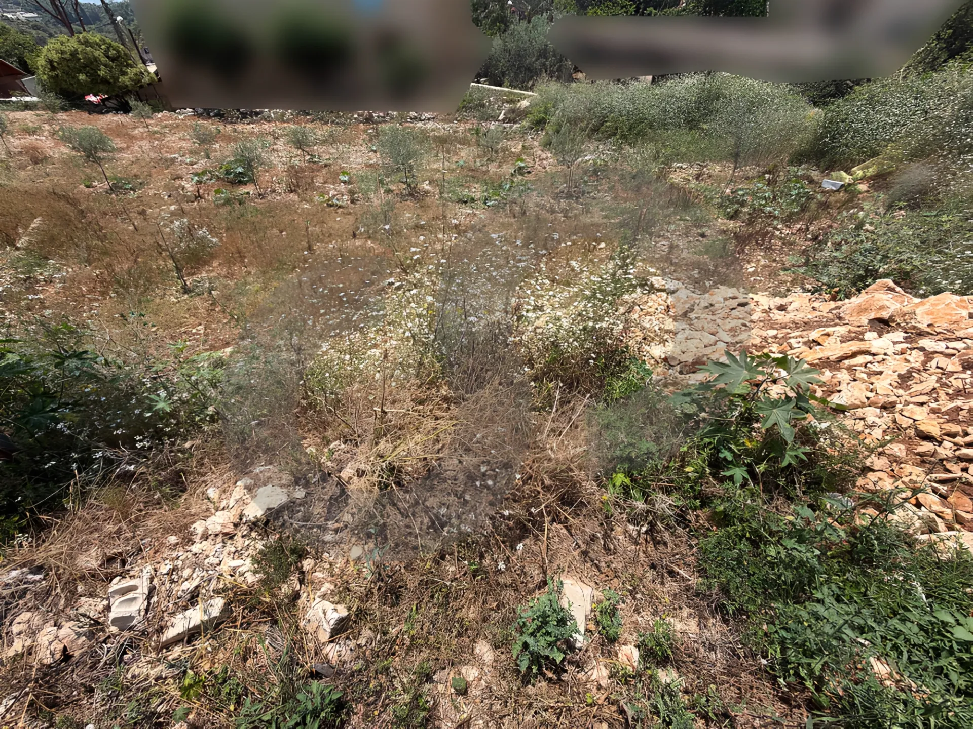Land for Sale in Edde