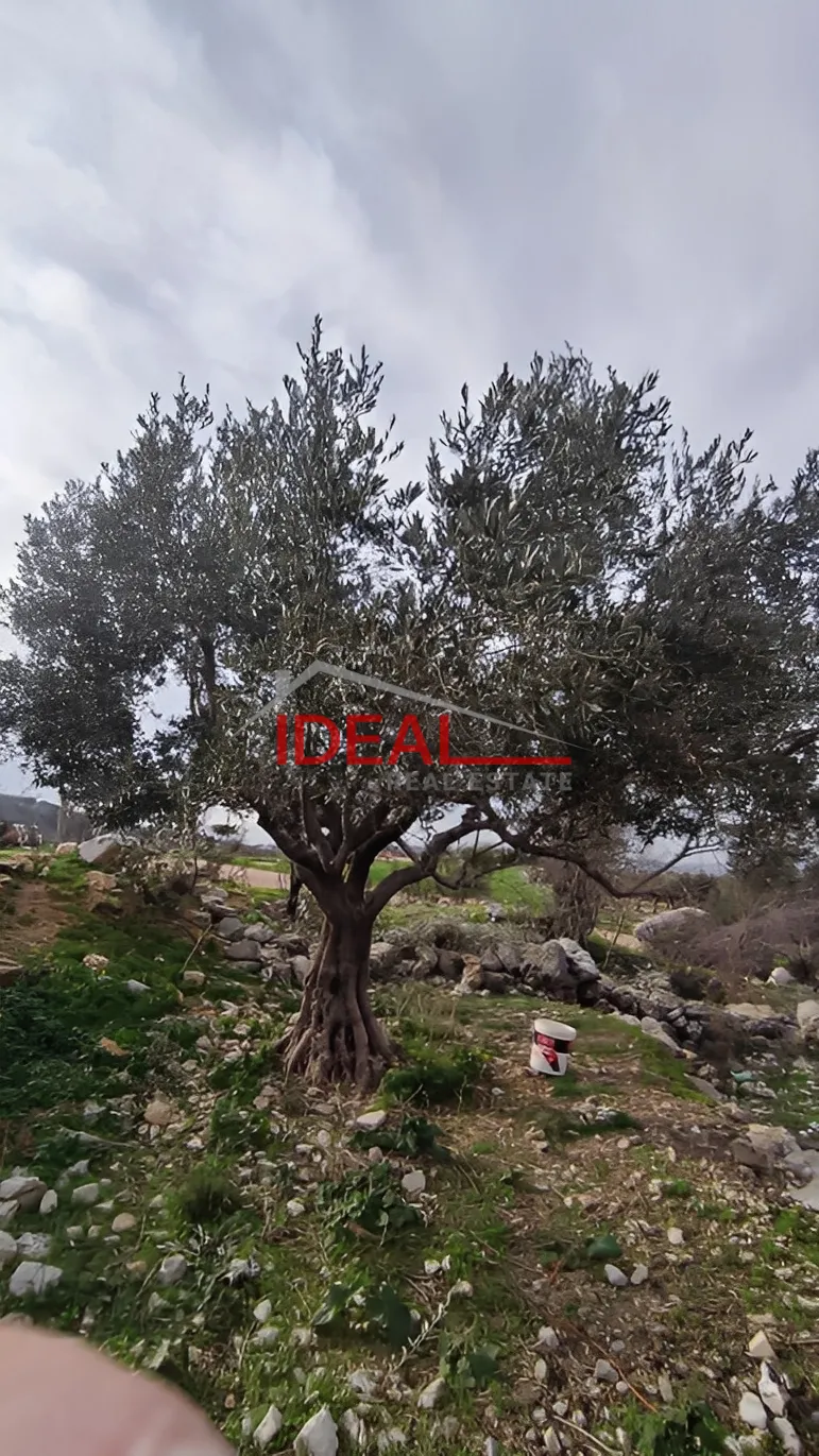 Land for Sale in Chabtine, Lebanon