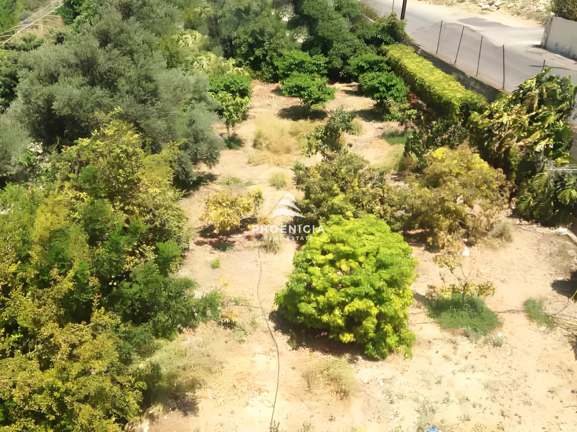 Land for Sale in Blat