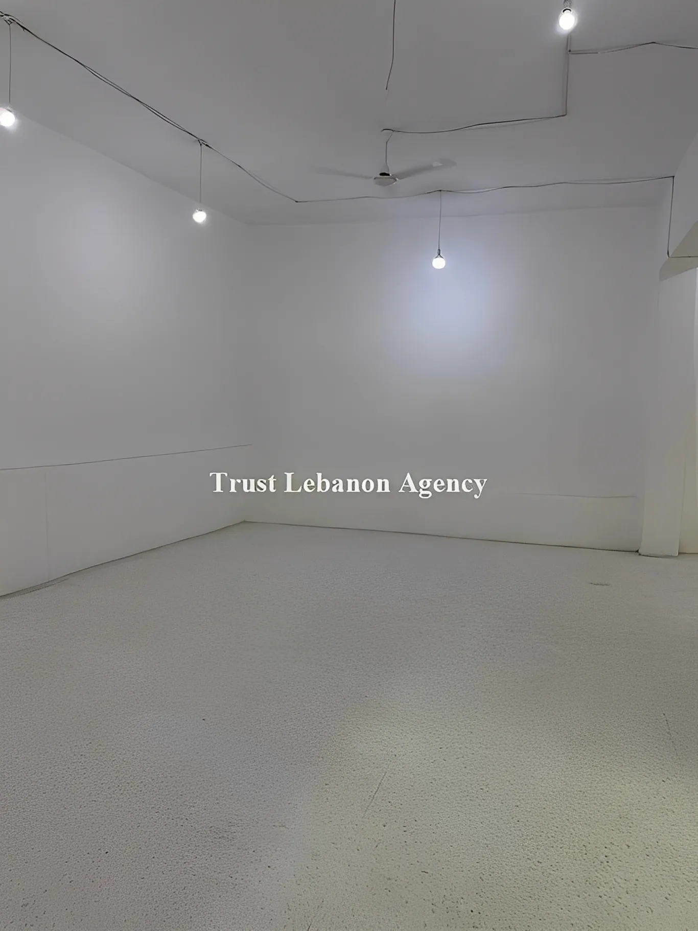 Commercial Property For Sale in Achrafieh, Mar Meter