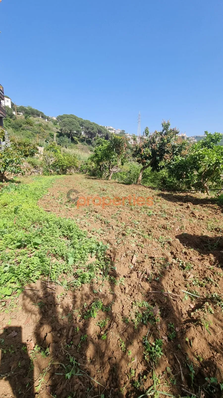 Residential Land for Rent in Kahaleh
