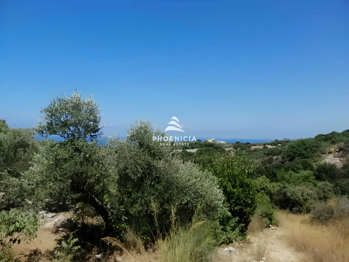 Land for Sale in Monsef