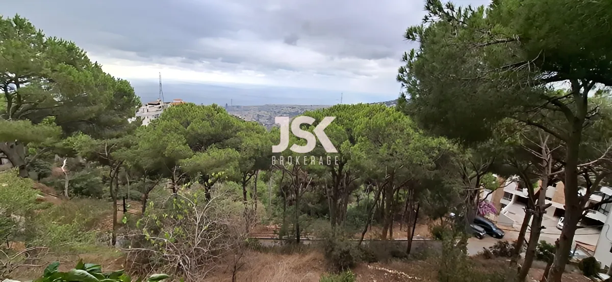 Land for Sale in Nabiyeh, Lebanon