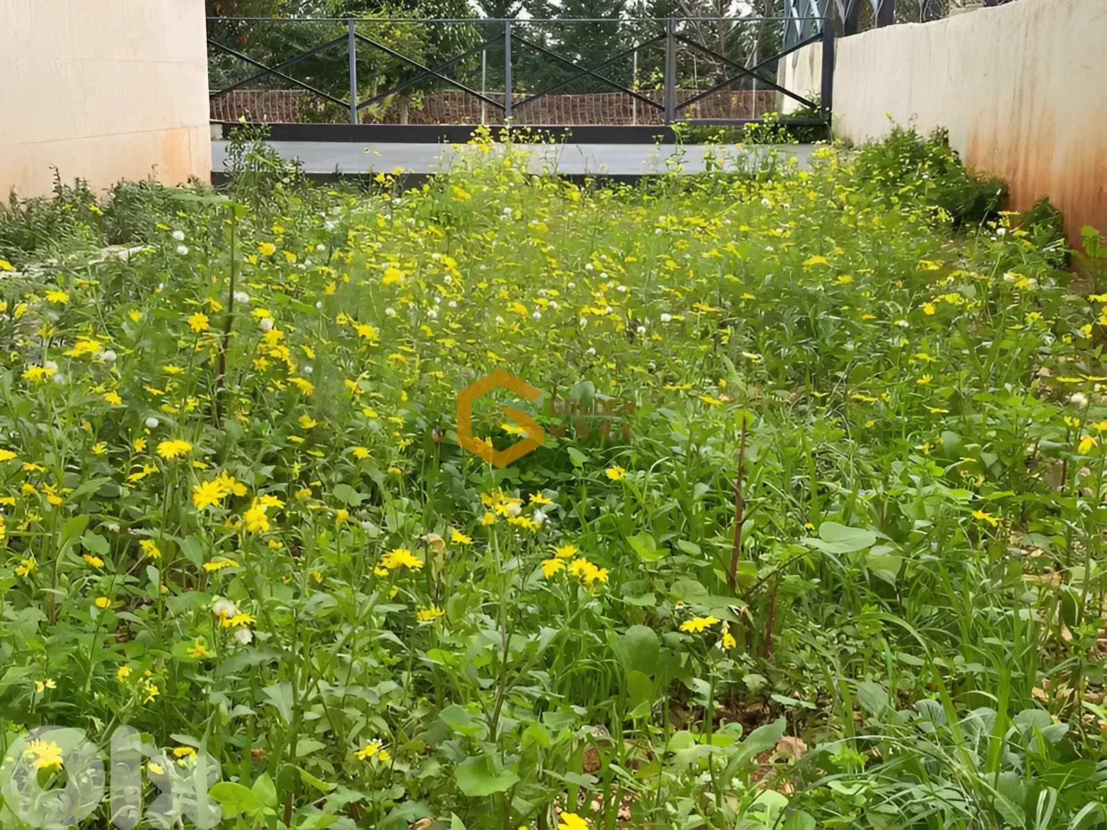 Apartment for Sale in Blat