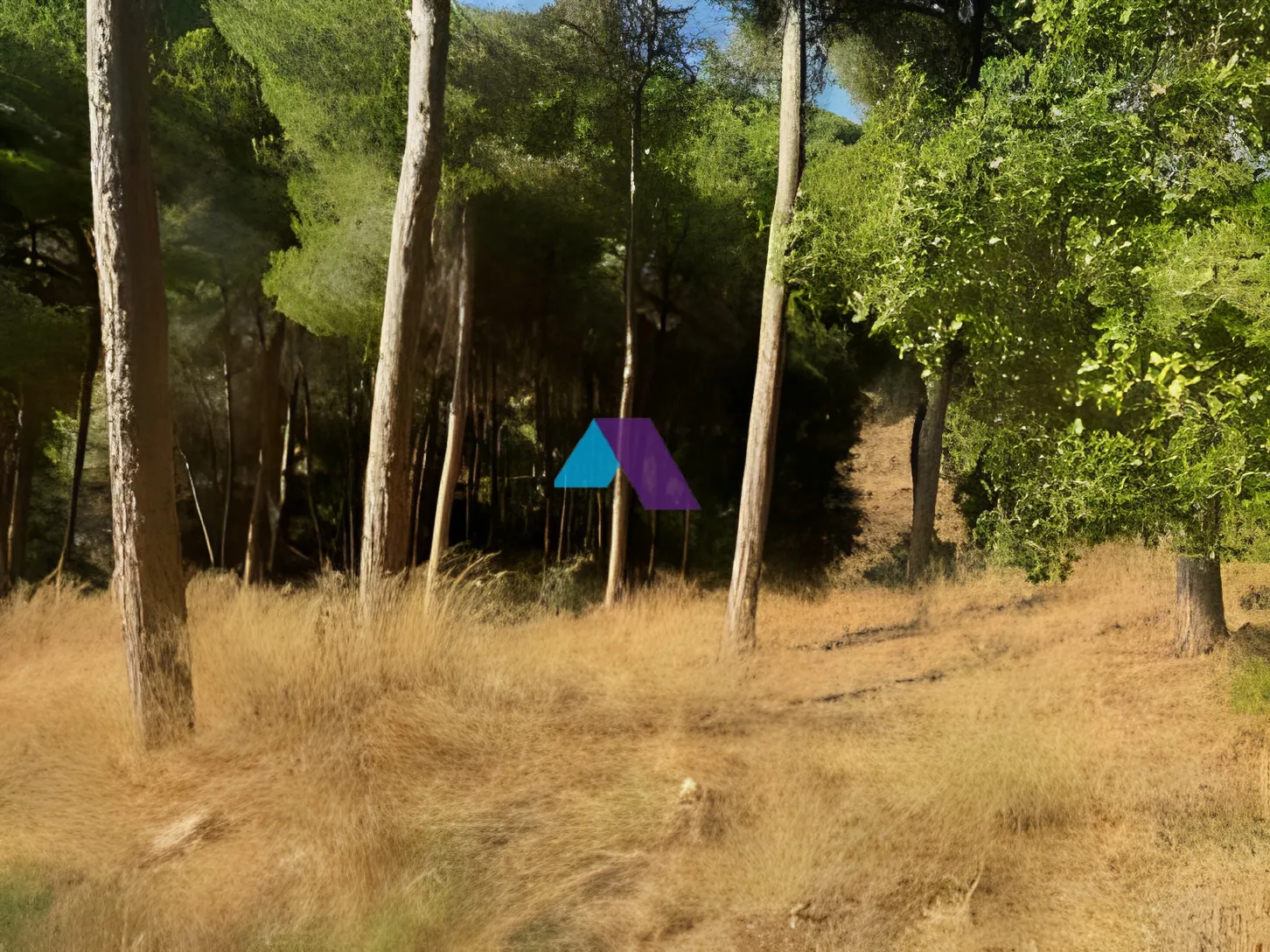 Land for Sale in Mansourieh