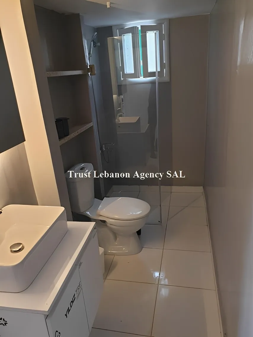 Apartment for Rent in Ashrafieh Beirut Lebanon