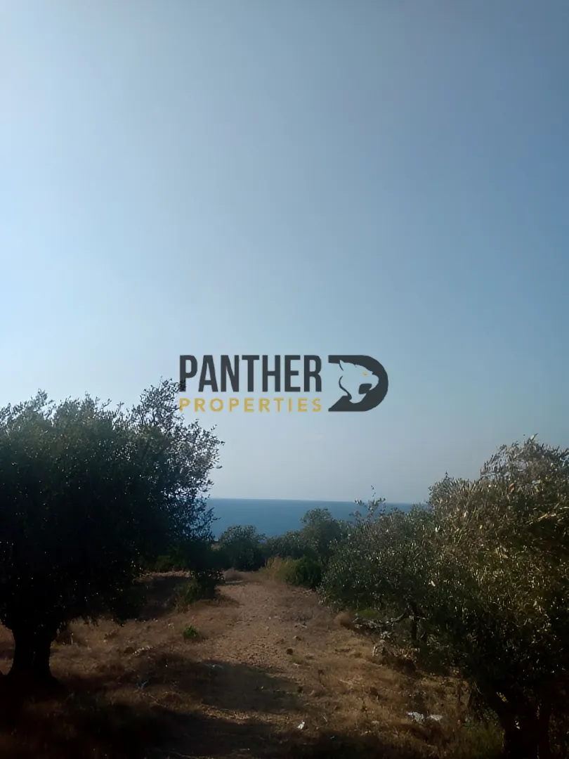 Land for sale in Anfeh