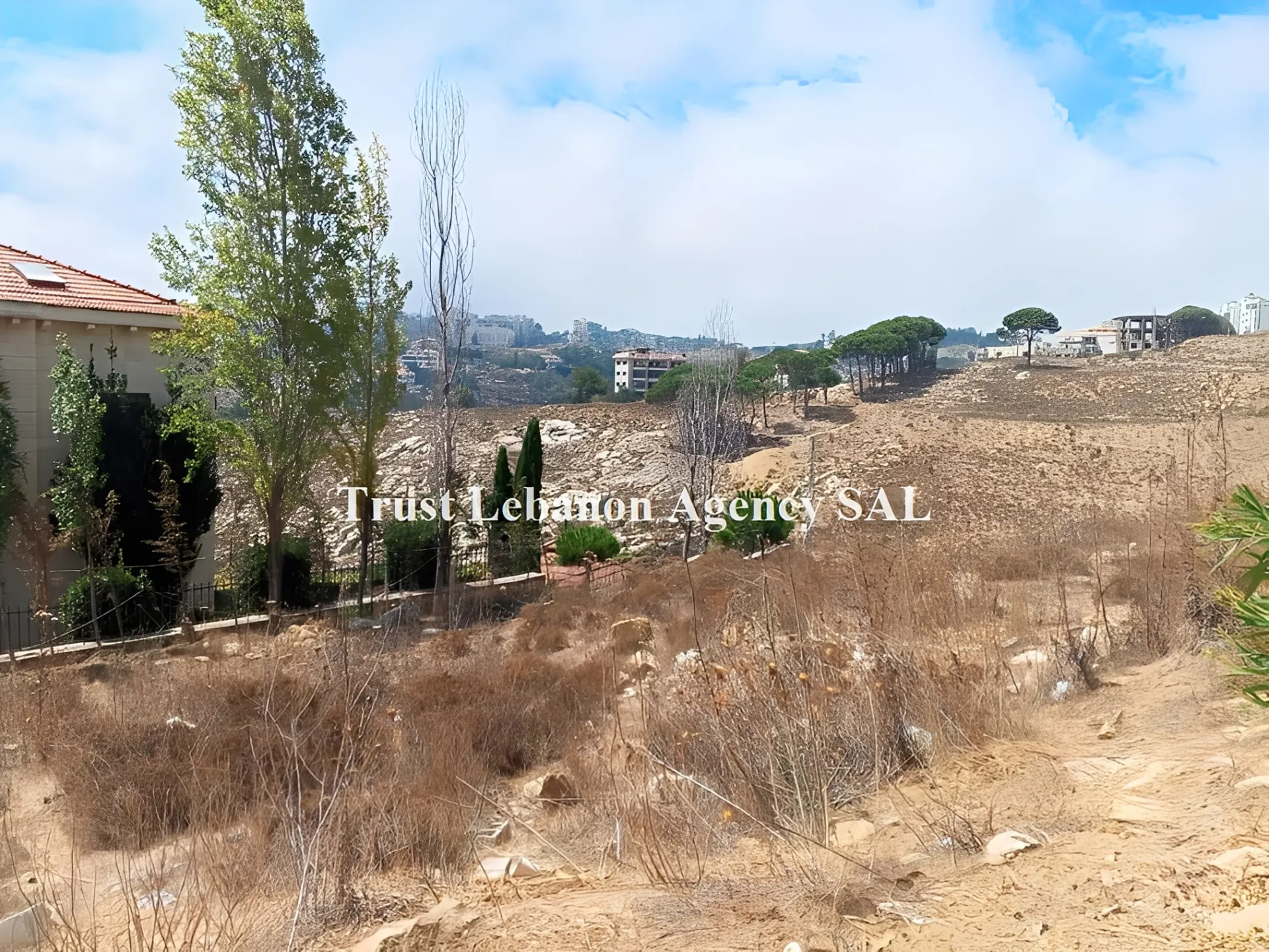 Land for Sale in Souq El Gharb