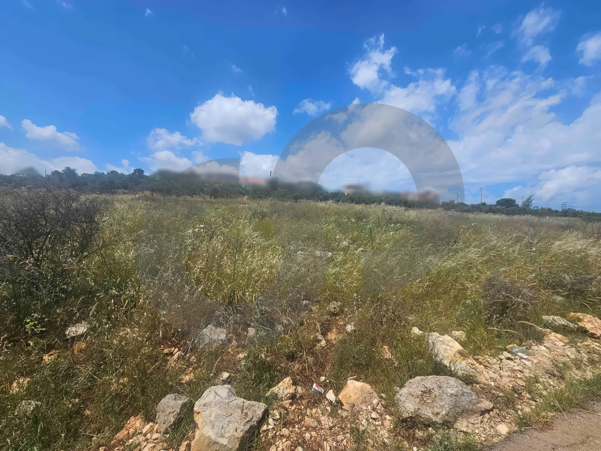 Land for Sale in Nakhleh