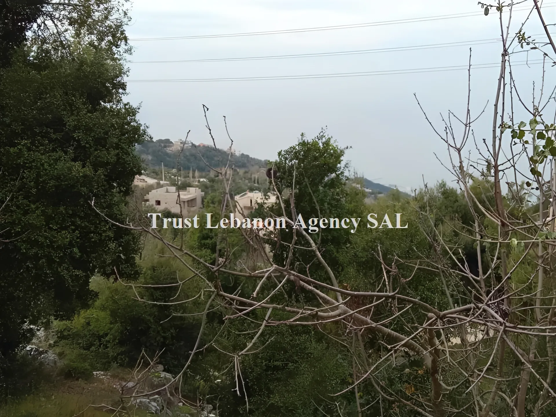 Land for Rent in Keserwan Ashkout Lebanon
