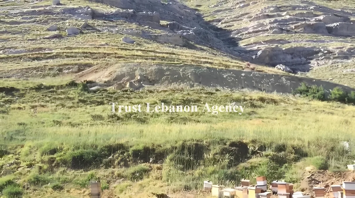 Land for Sale in Batroun, Tannourine