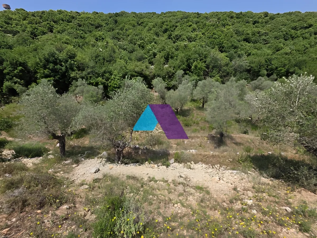 Land for Sale in Batroun