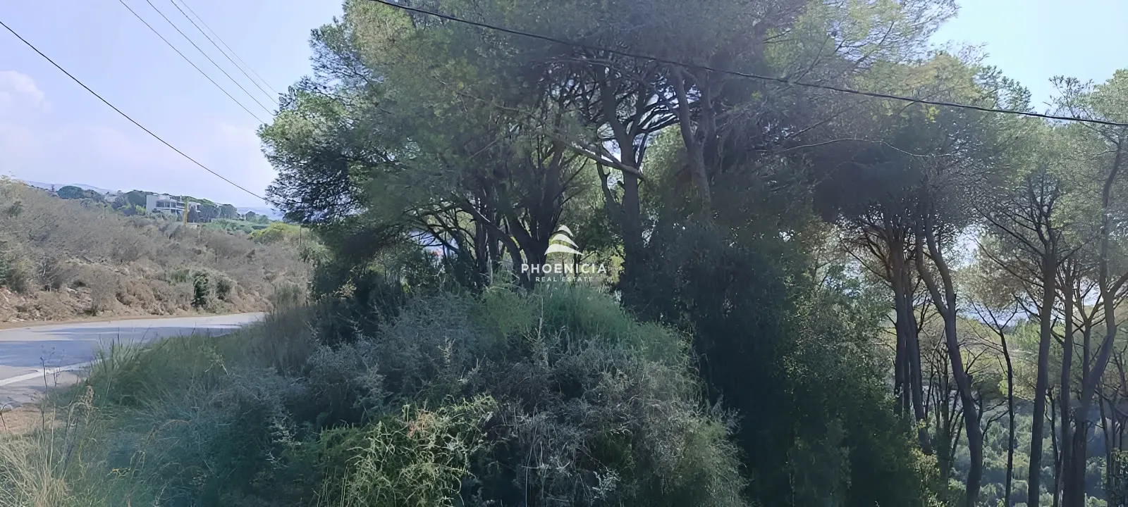 Land for Sale in Gharzouz