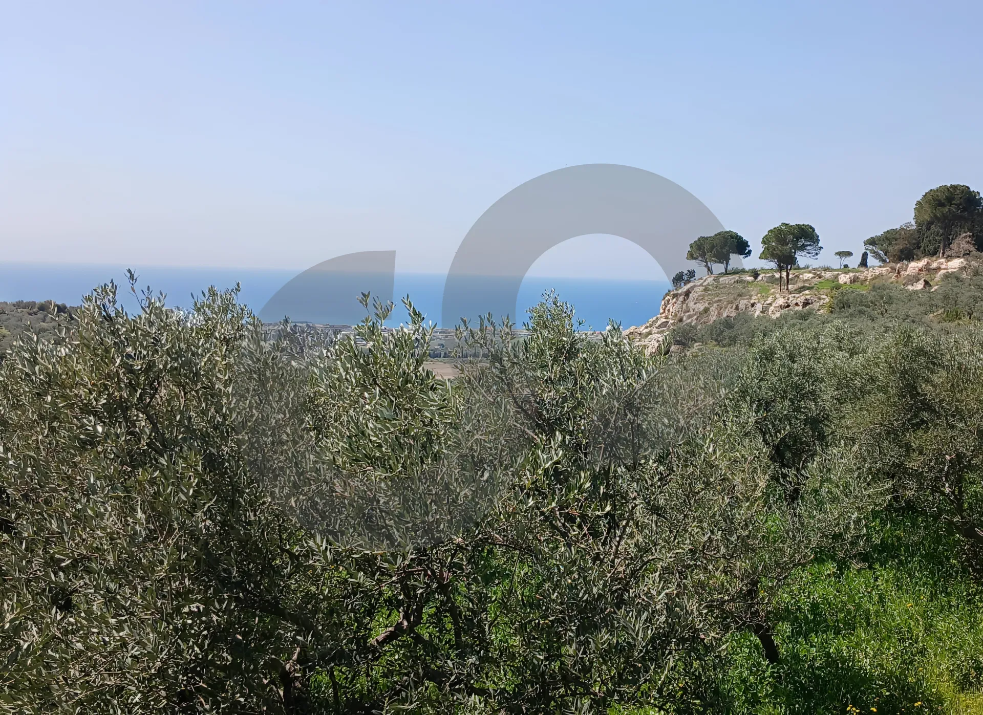 Land for Sale in Koura
