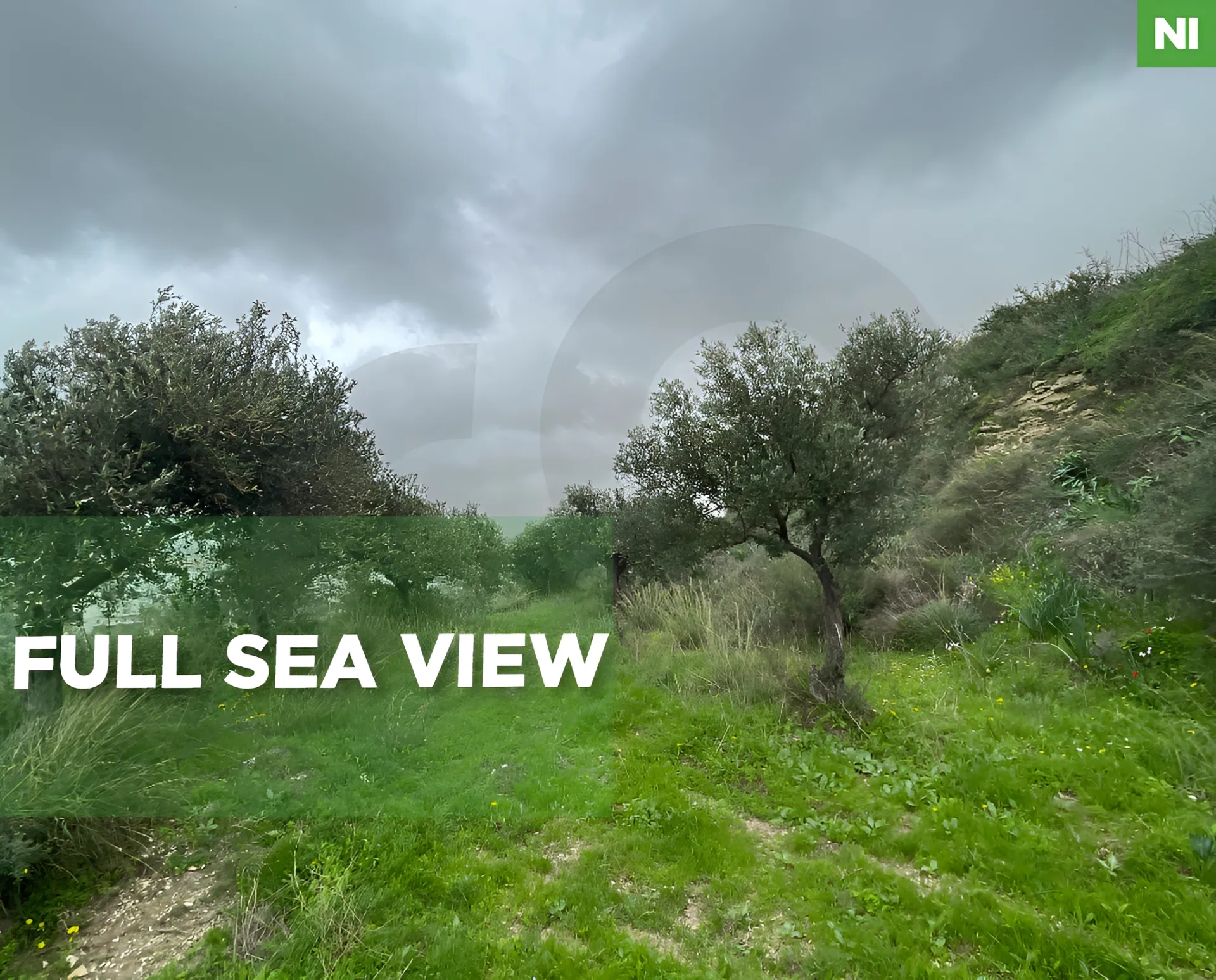 Land for Sale in Chekka