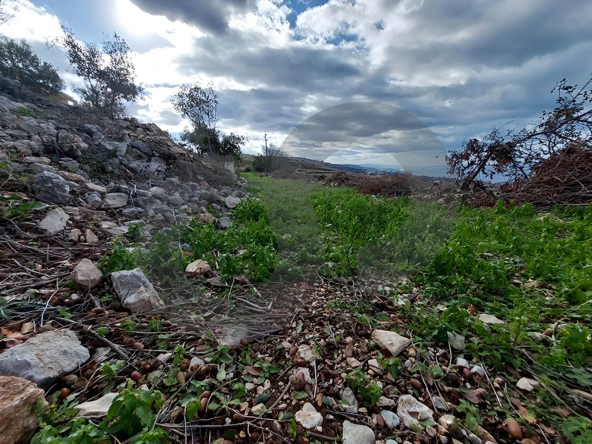 Land for Sale in Edde, Lebanon