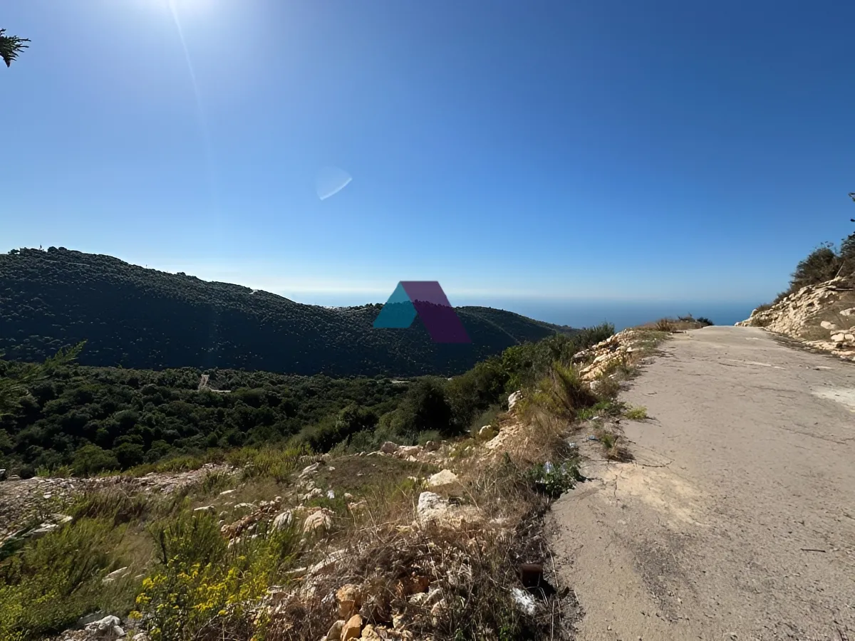 Land for Sale in Borj