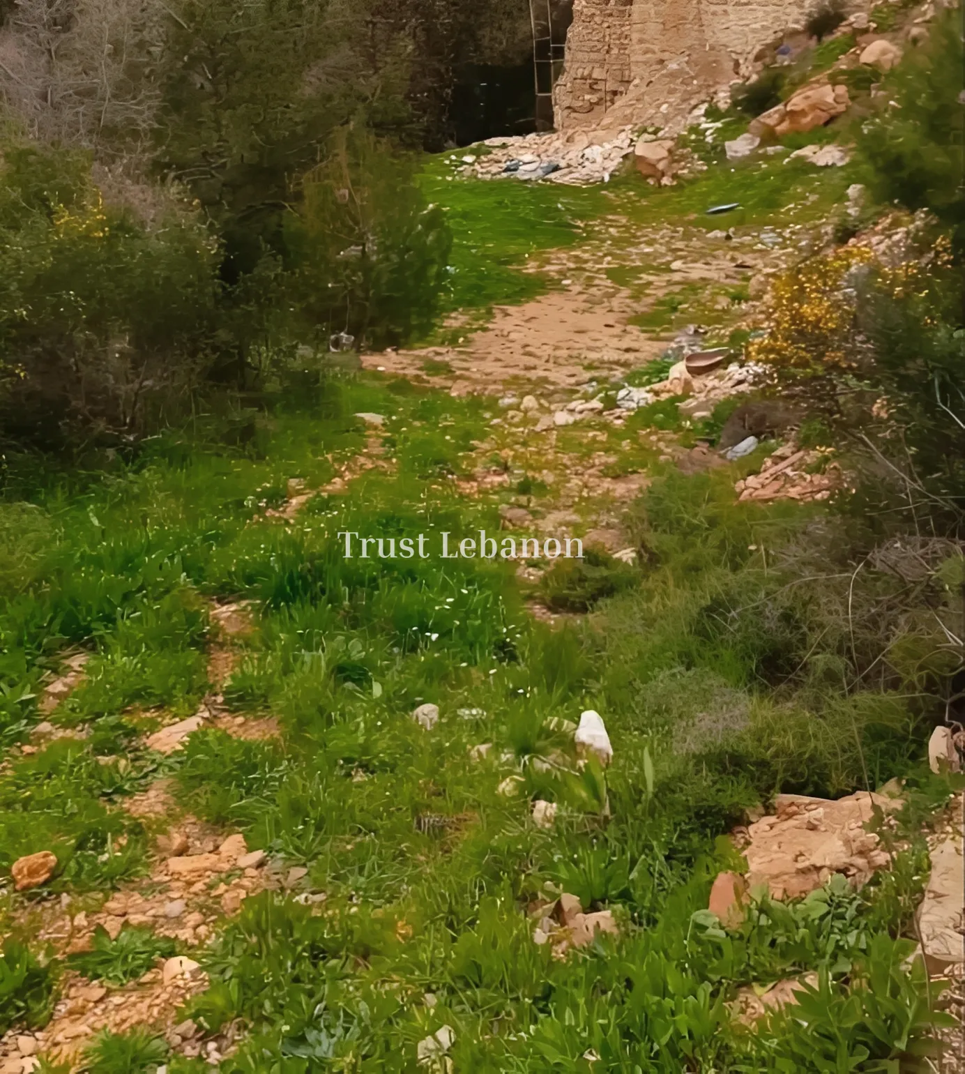 Residential Land for sale in Sfaileh, Lebanon
