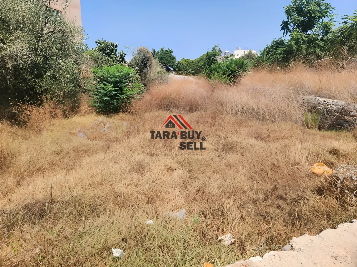 Land for Sale in Blat, Lebanon