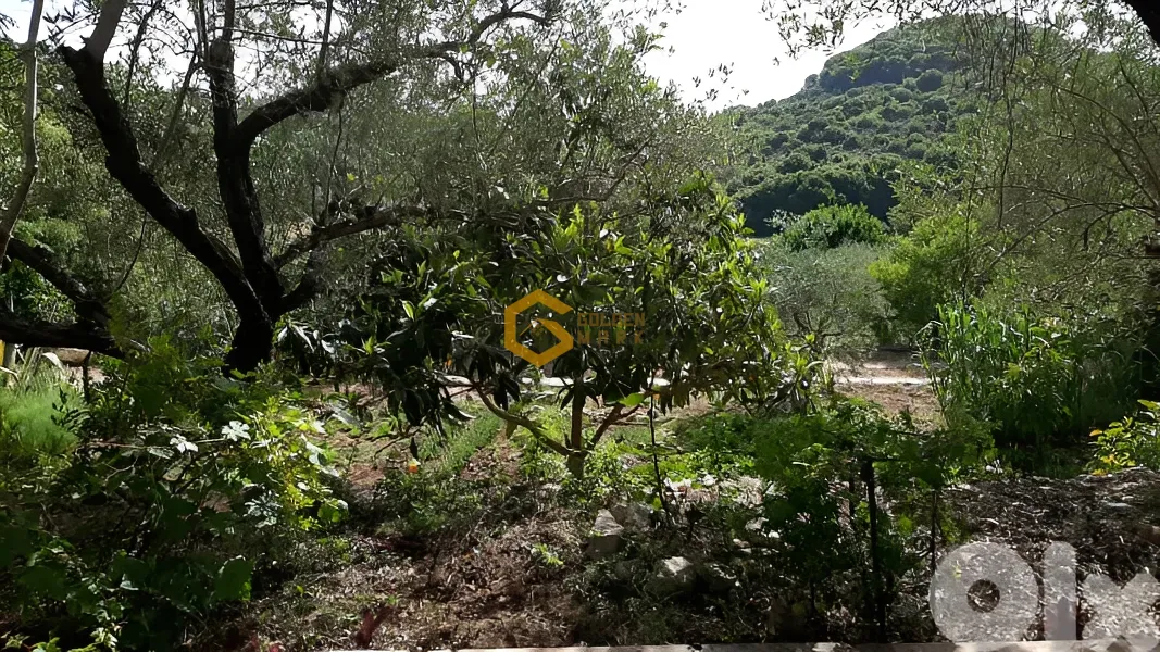 Apartment for Sale in Kfifan