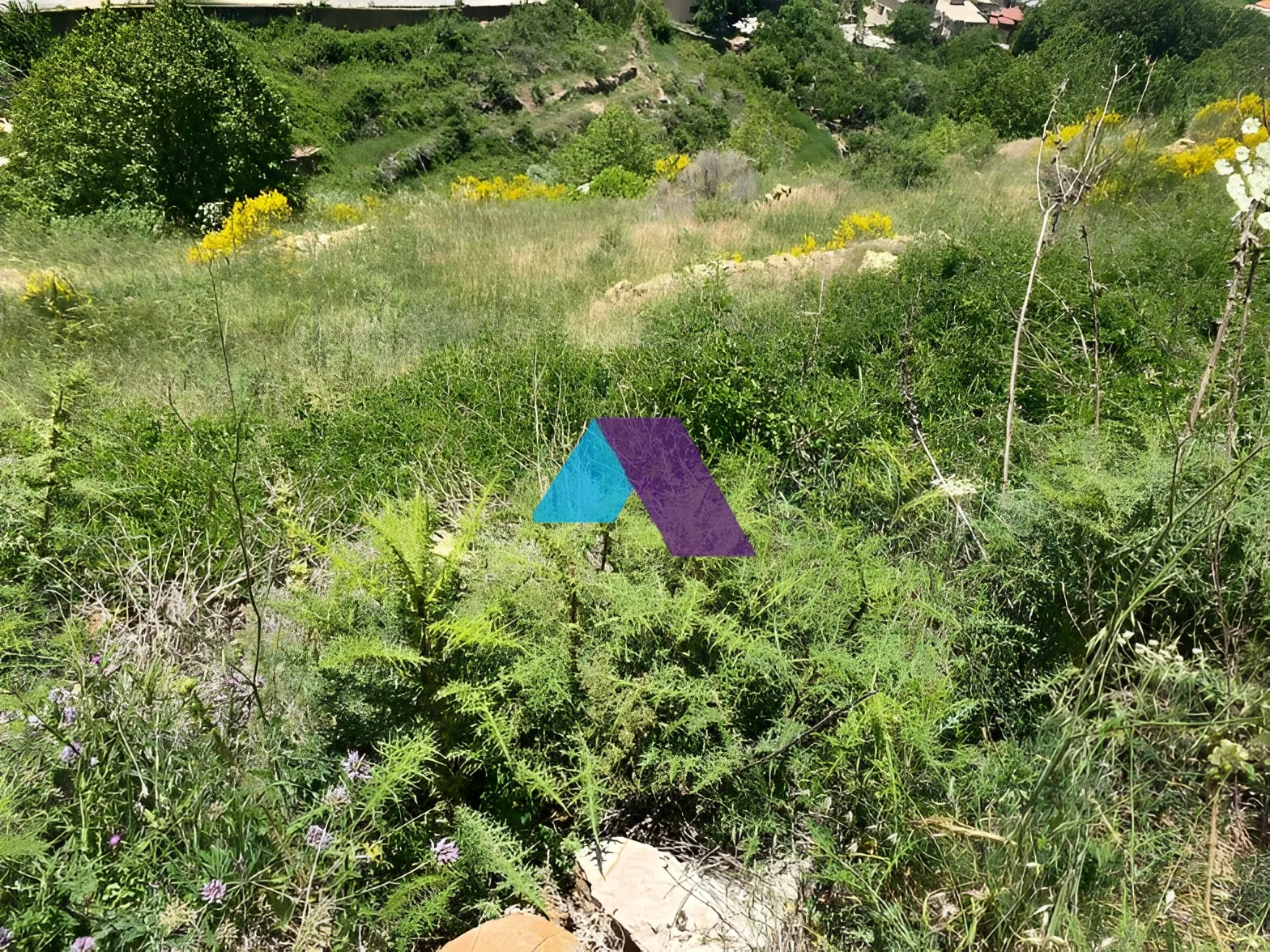 Land for Sale in Faraya