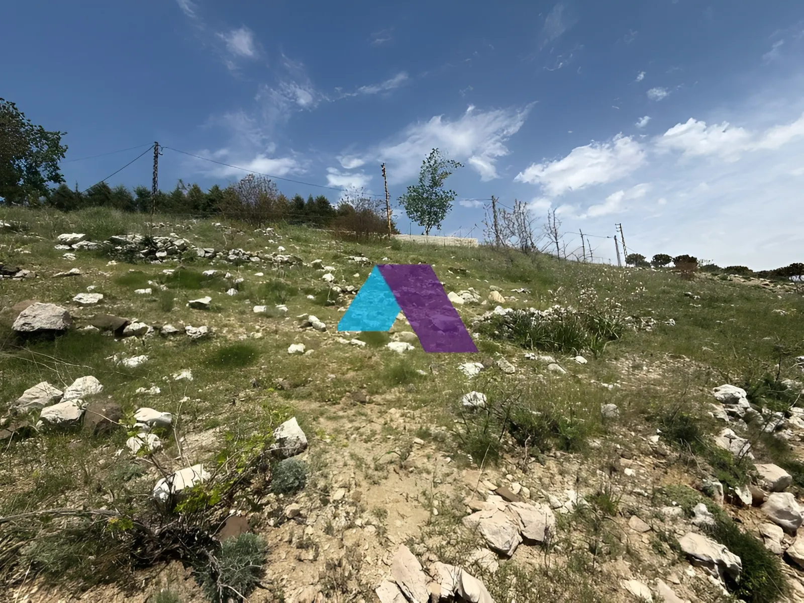 Land for Sale in Raashine