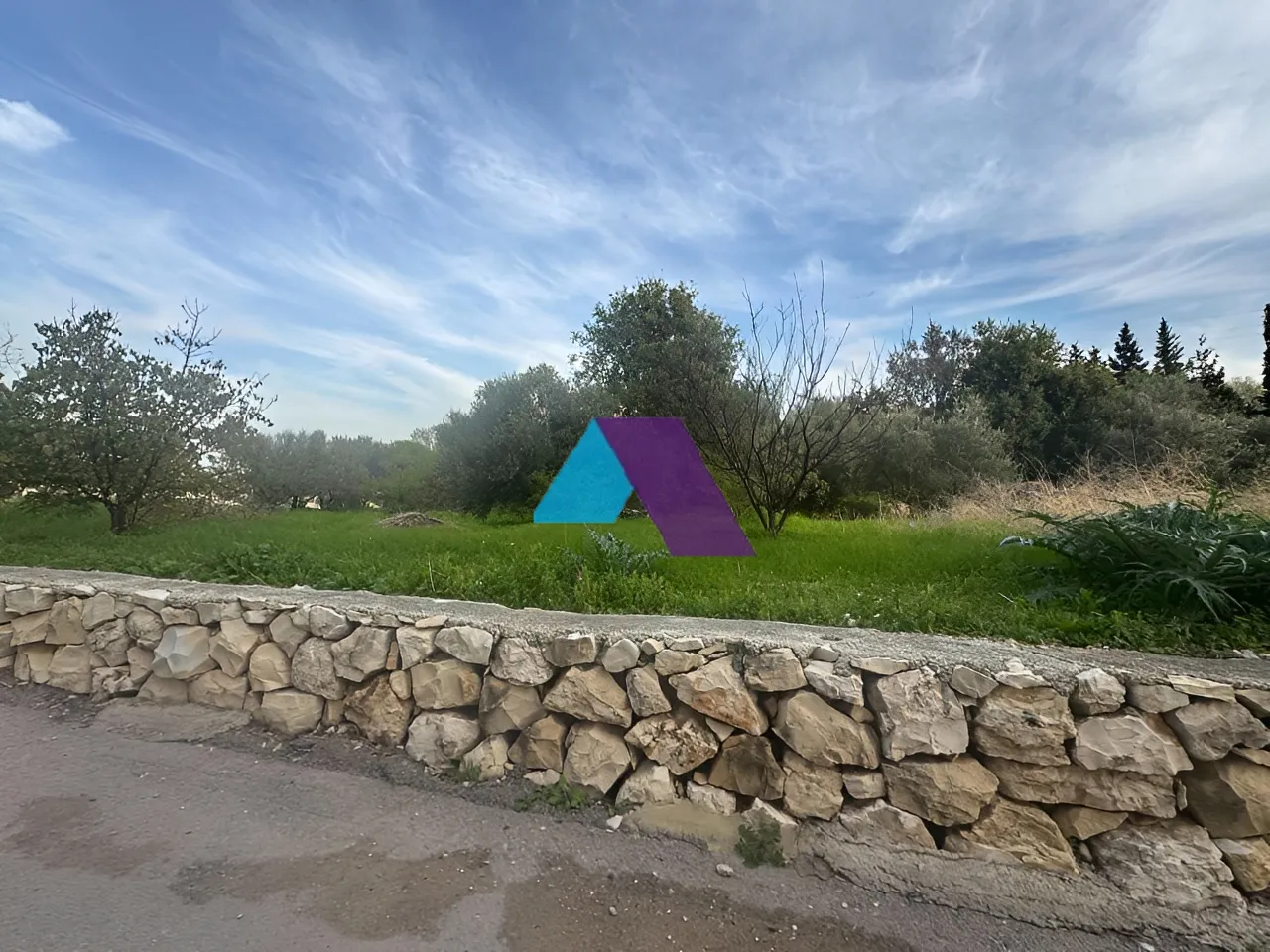 Land for Sale in Aamchit