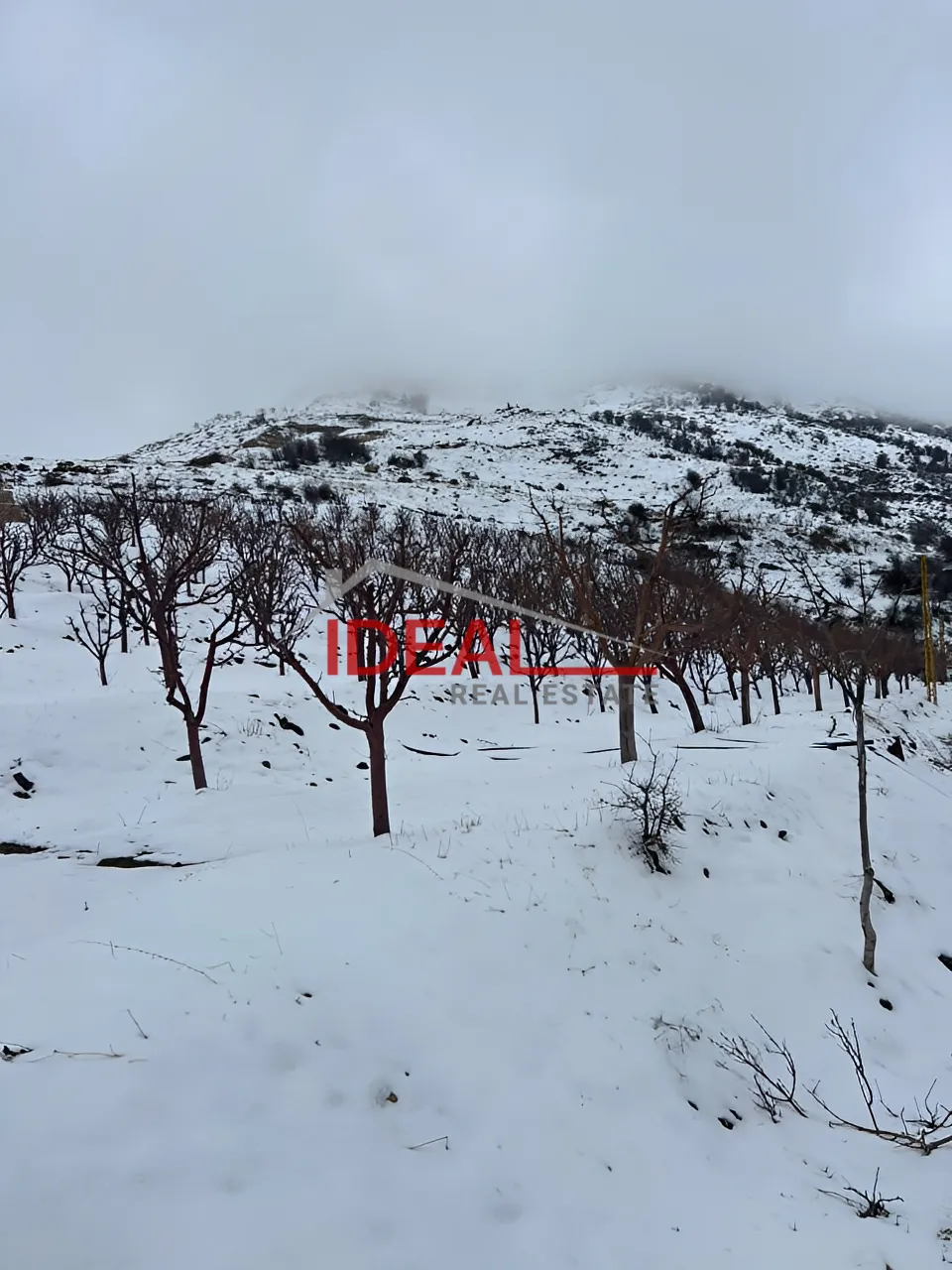 Land for Sale in Tannourine El Tahta