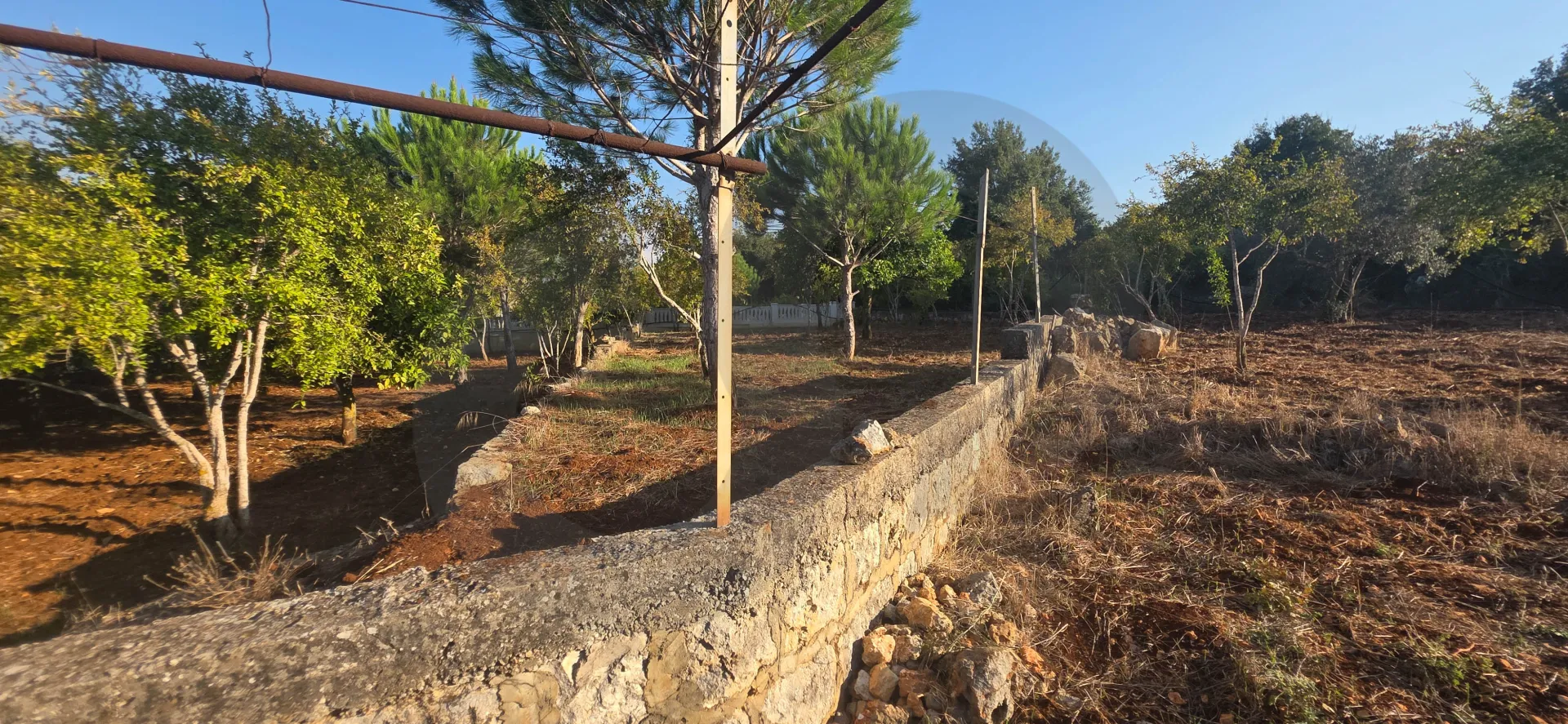 Land for Sale in Koura