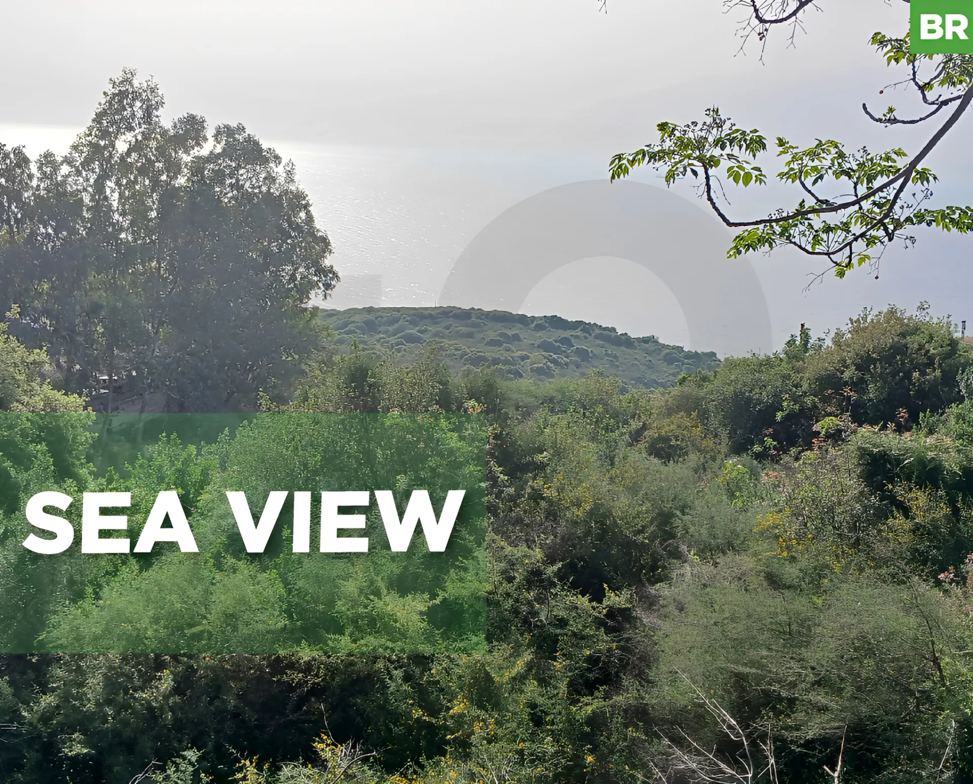 Land for Sale in Batroun