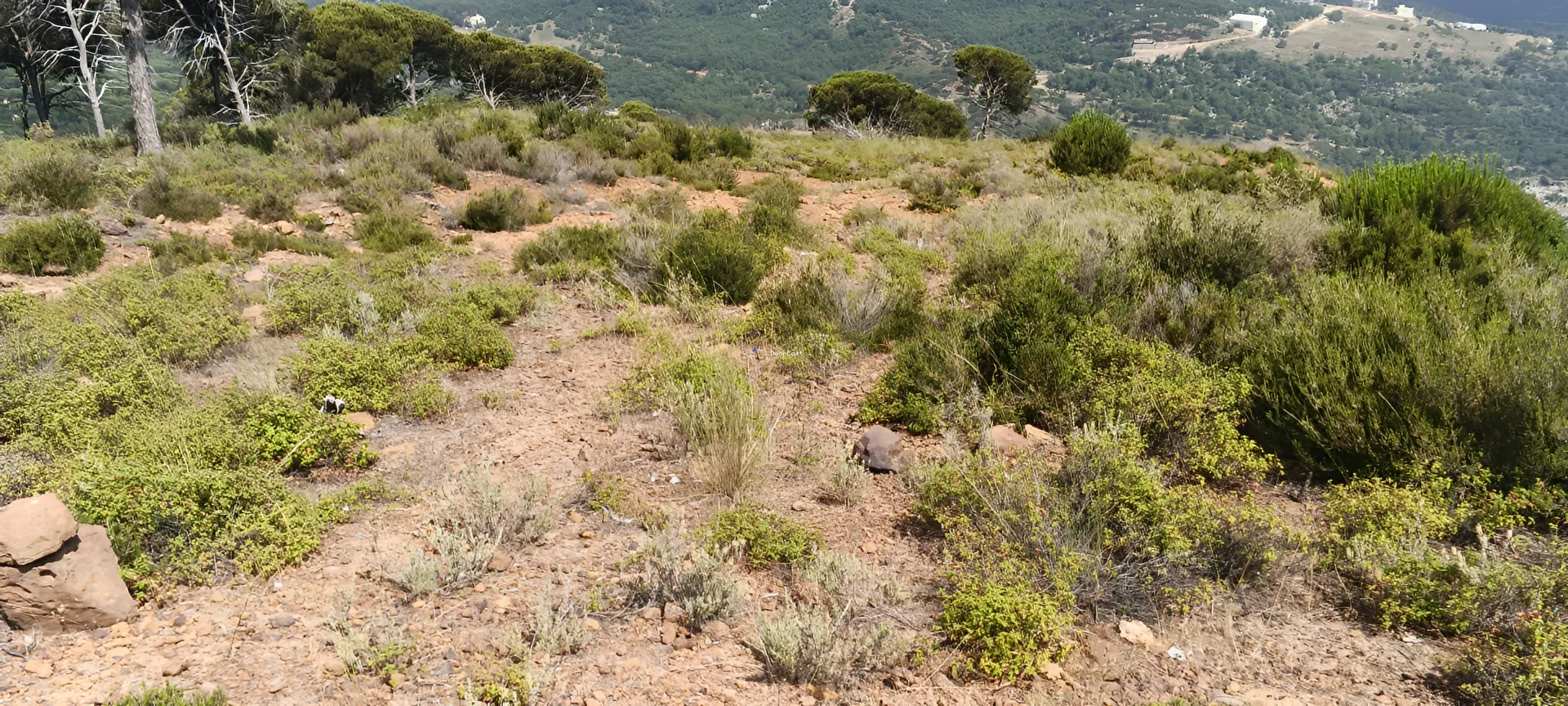 Land for sale in Dhour el choueir, lebanon