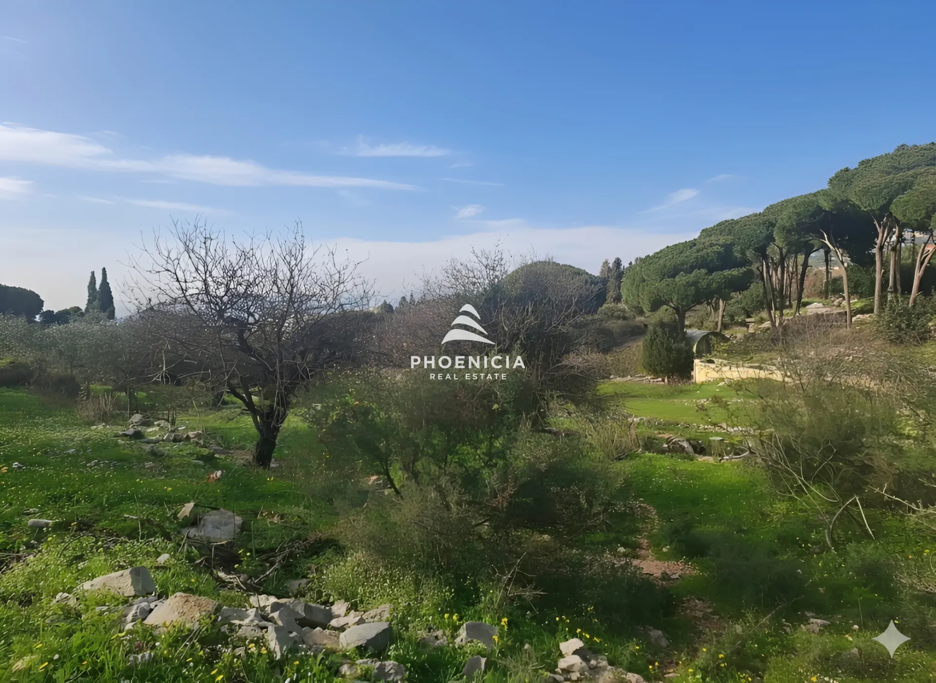Land for Sale in Batroun