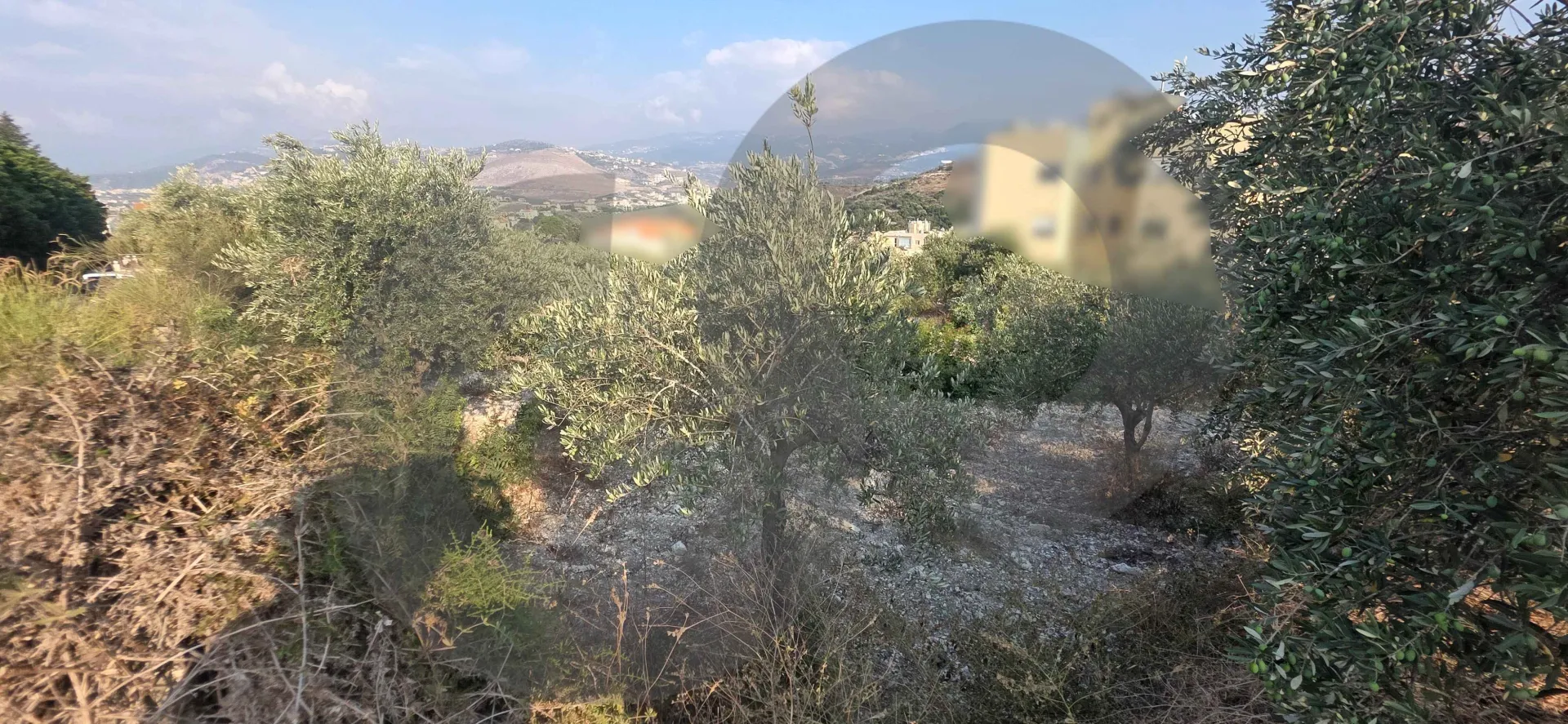 Land for Sale in Greater Amyoun